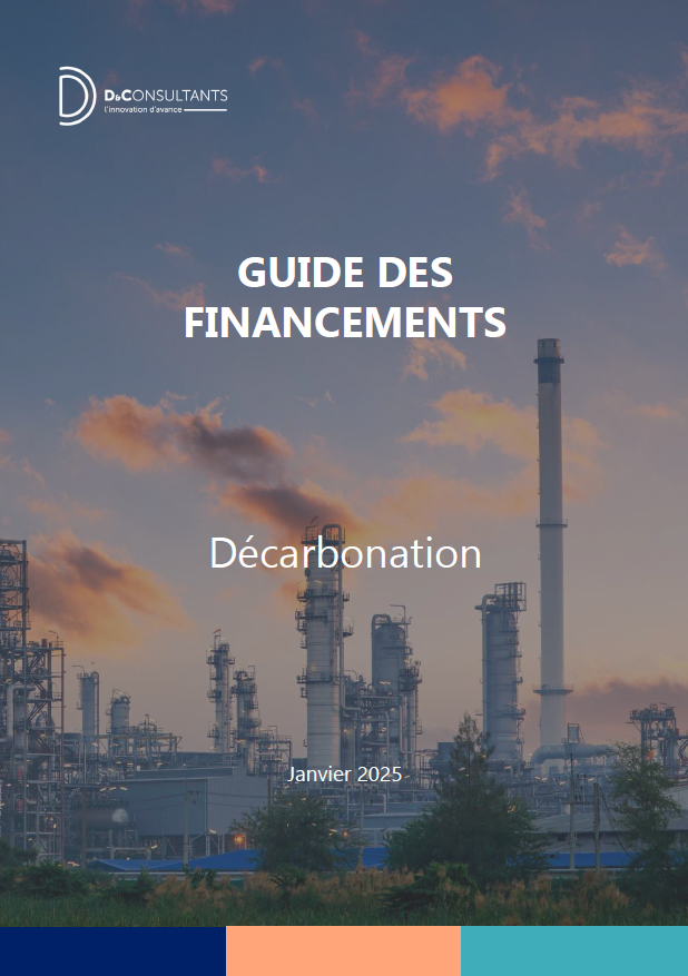 Guide des financements publics décarbonation D&Consultants